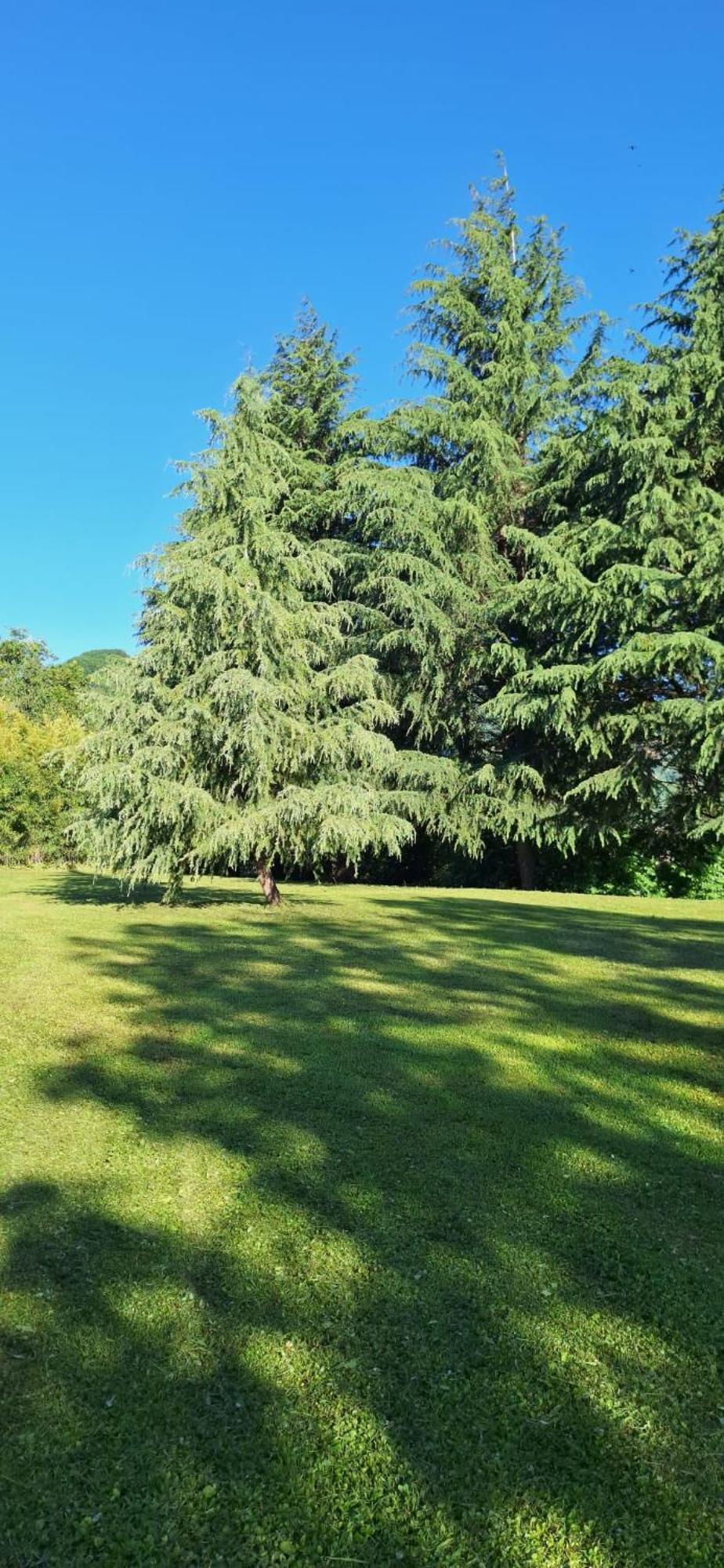 Villa Duno A Un Passo Da Citta Alta Clanezzo Bagian luar foto