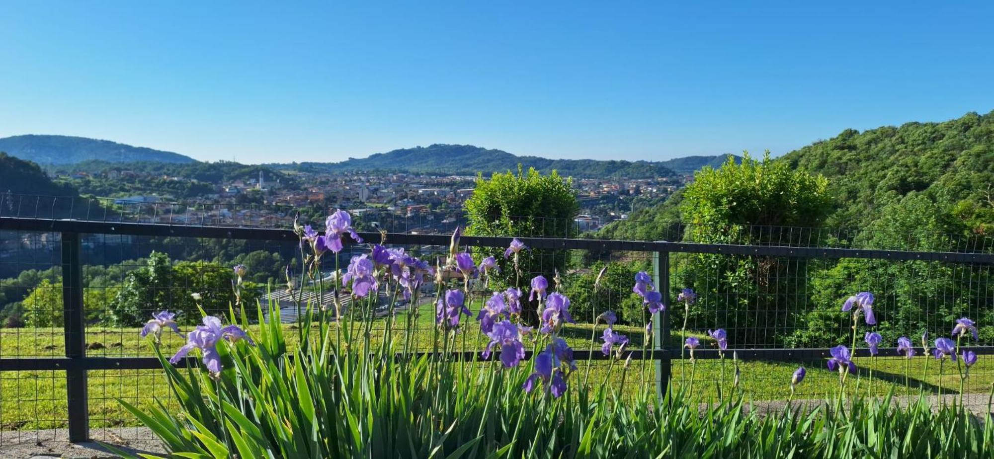 Villa Duno A Un Passo Da Citta Alta Clanezzo Bagian luar foto